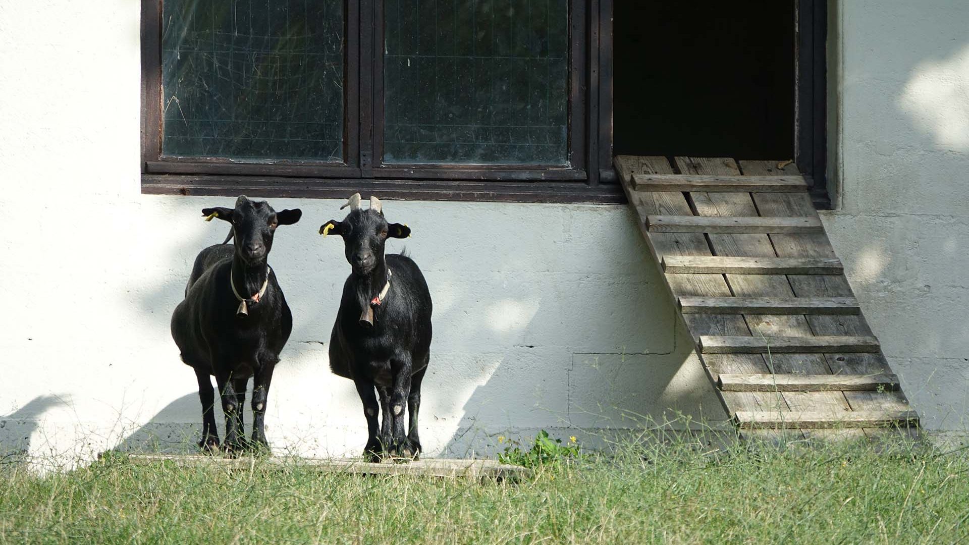 Pierrette & Cornélia