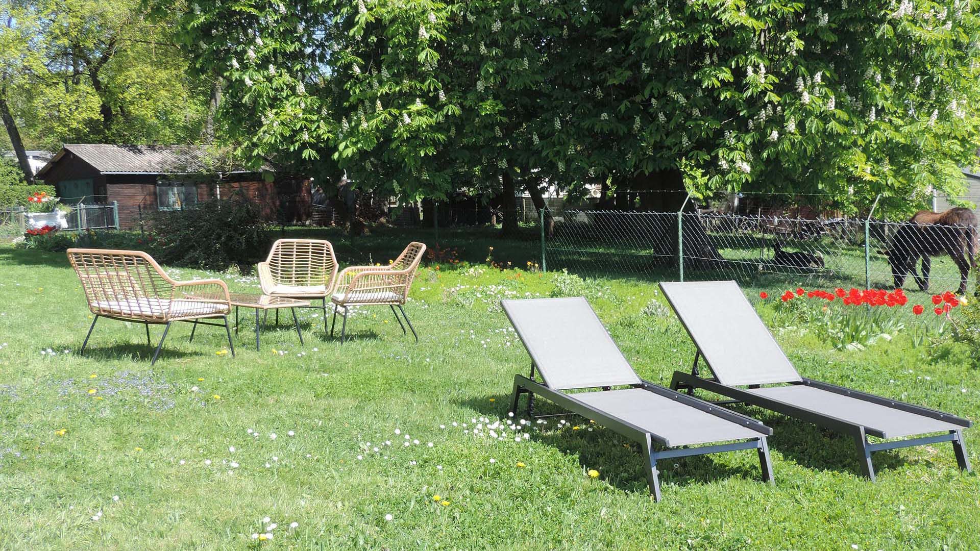 vue sur le meubilaire de jardin